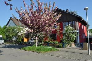 卡尔斯鲁厄Punkrock Harbour Pension Bähr的红楼前一棵有粉红色花的树