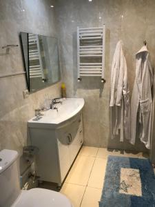 塞凡Armenia VanSevan Hotel的一间带水槽、卫生间和镜子的浴室