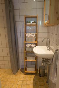 霍尔沃德Vakantiehuisje Smoek Holwerd, aan de Waddenzee的浴室设有水槽和带毛巾的架子。