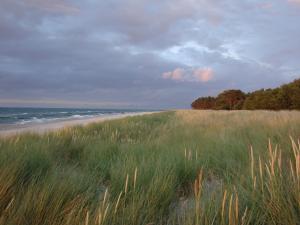 青斯特Ferienwohnung am Strand的一片草地和海洋的海滩