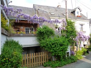 Chouzé-sur-Loire埃斯卡勒德卢尔瓦酒店的旁边是紫色紫色的紫藤房子