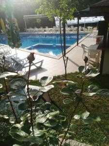 梅尔尼克埃利希腊酒店的院子里种满了植物的游泳池