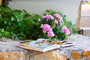 乌尔齐尼Apartments Gran Sasso的一本开张的书,坐在一块石头上,花上粉红色的花朵