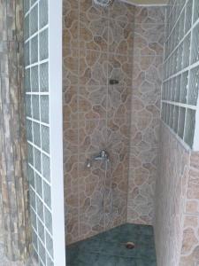 扎哈罗阿尼里奥广场公寓式酒店的带淋浴的浴室(带石墙)