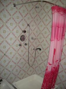 阿韦尼奥Casa Giada的浴室内设有带粉红色淋浴帘的淋浴