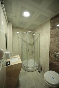 FatsaFatsa Safi̇r Otel的带淋浴、卫生间和盥洗盆的浴室
