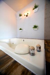 赫雷斯加西亚萨利纳斯Hotel Express Jerez的墙上的白色浴缸,上面有植物