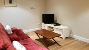 科克Apartment 2 Oakleigh House的客厅配有沙发和带电视的桌子