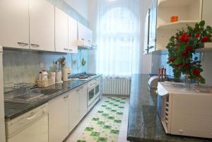 萨拉热窝住宅旅舍的厨房配有白色橱柜和台面上的植物