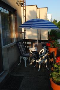 格丁尼亚Homestay Kapitańska 9的庭院配有两把椅子和一把遮阳伞