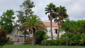 TentúgalQuinta do Mourão的前面有棕榈树的房子
