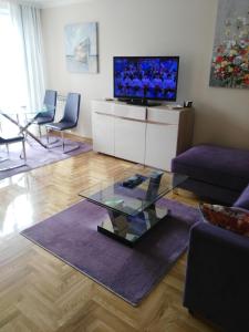 贝尔格莱德Vlado Apartment的客厅配有玻璃咖啡桌和电视