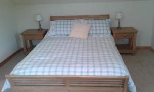 波特里Goldenhill的一间卧室配有一张床、两个床头柜和两盏灯。