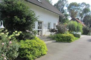 Bad KöstritzPension Egerer的白色的房子,有灌木和花