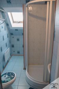 文茨皮尔斯布基娱乐露营地的带淋浴和卫生间的浴室