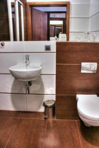 奥斯威辛奥莱奇酒店的一间带水槽和卫生间的浴室