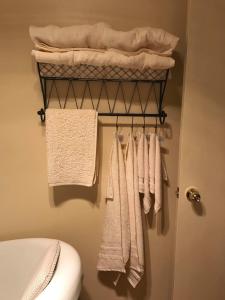 PateaGlascroft Gardens - Bed & Breakfast的浴室设有挂在马桶旁的衣架上的毛巾
