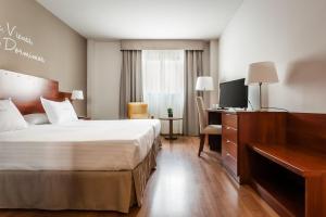 阿尔么丽亚阿维尼达酒店的配有一张床和一张书桌的酒店客房