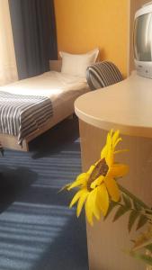 Yamna完美酒店的一间房间,地板上有一床黄色花朵