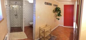 捷克克鲁姆洛夫池和丽娜公寓的带淋浴的浴室和红色门