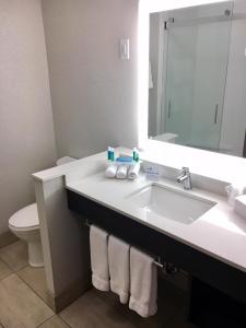 约翰斯敦Holiday Inn Express & Suites Johnstown, an IHG Hotel的一间带水槽、卫生间和镜子的浴室
