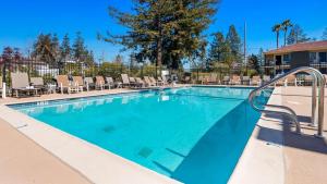 罗内特公园Best Western Sonoma Winegrower's Inn的度假酒店内带躺椅的游泳池