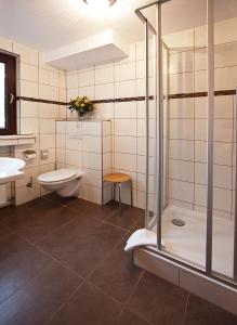 勒沃库森May-Hof的带淋浴、卫生间和盥洗盆的浴室