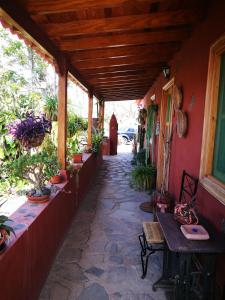 戈梅拉岛圣塞瓦斯蒂安Casa Rural Finca La Laguna的走廊上,有桌子和一些植物