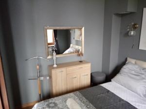 兹维日涅茨apartament Fanaberia的一间卧室配有一张床和镜子