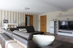 GefellFerienhaus "Am Backes"的客厅配有真皮沙发和电视