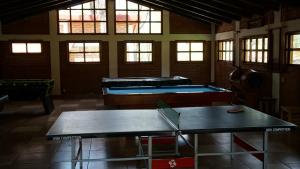 马萨米特拉Rincón del Bosque的一间设有两张乒乓球桌和窗户的房间