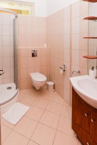 NémetkérAlthaus Vendégház的浴室配有卫生间、盥洗盆和淋浴。