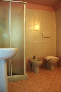 塞拉伦加达尔巴La rosa dei vini的带淋浴、卫生间和盥洗盆的浴室