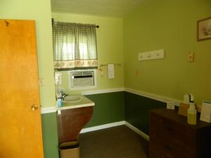 利文斯顿乡村汽车酒店的浴室设有绿色的墙壁、水槽和窗户。