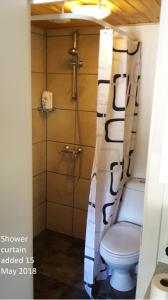 加德耶格Smidstrupvej 3 - The Lodge的浴室配有淋浴和卫生间。