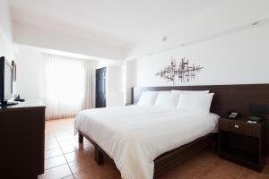 圣何塞Hotel Presidente的卧室配有一张白色大床和吊灯。