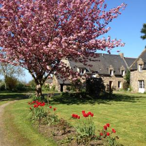 圣库隆Maison d'hôtes "Bienlivien"的房子前有粉红色花的树