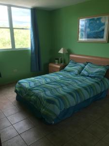 卡沃罗霍Comfortable Apartment in Boqueron - cash only的卧室内的一张床位,卧室设有绿色的墙壁