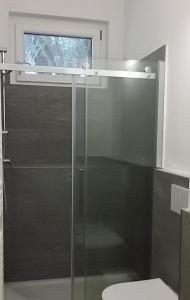格里安泰卡德纳比亚Appartamento i Tulipani - 1的浴室设有玻璃淋浴间和卫生间
