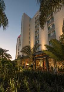 瓜达拉哈拉维多利亚行政酒店的前面有棕榈树的酒店