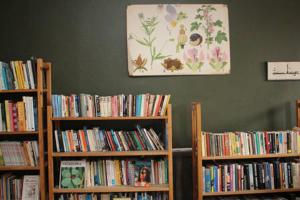 法伦Lindsbergs Kursgard and hostel的一间房间,里面装满了书架