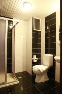 阿拉尼亚玛恩海滩公寓酒店的一间带卫生间和淋浴的浴室
