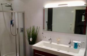 因斯布鲁克Heart of INN‘s Bruck的一间带水槽、淋浴和镜子的浴室
