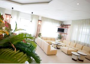 丽都迪萨维奥阿马尔菲公寓式酒店的带沙发和桌子的客厅以及电视。