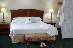 梅德福丽晶套房酒店 的酒店客房设有一张带枕头的大床
