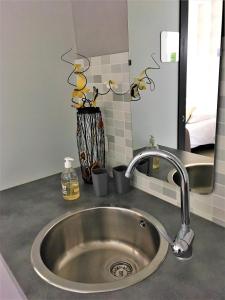 波尔尼克La Belle Verte的带镜子的厨房内的盥洗盆