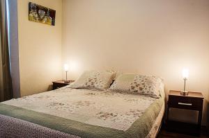 圣地亚哥奥拓莫内达迪帕特曼特酒店的一间卧室配有一张床,两台桌子上放着两盏灯