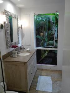 波哥大Candelaria House Boutique的一间带水槽和大窗户的浴室