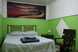 圣何塞埃斯特圣达菲旅馆的一间绿色卧室,配有一张床和墙上的绘画