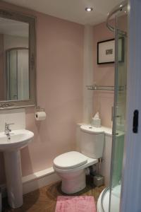 SlaidburnDale house barn and B&B的浴室配有卫生间、盥洗盆和淋浴。